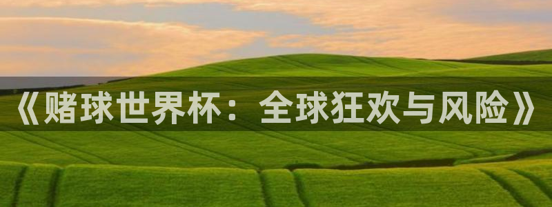 世界杯第一场比赛:《赌球世界杯:全球狂欢与风险》