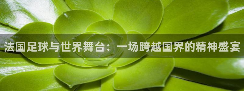 今年世界杯:法国足球与世界舞台:一场跨越国界的精神盛宴