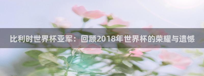 2026世界杯赛程时间表最新:比利时世界杯亚军:回顾2018年世界杯的荣耀与遗憾