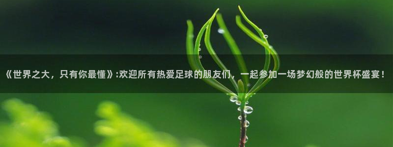 足球比分直播世界杯:《世界之大,只有你最懂》:欢迎所有热爱足球的朋友们,一起参加一场梦幻般的世界杯盛宴!
