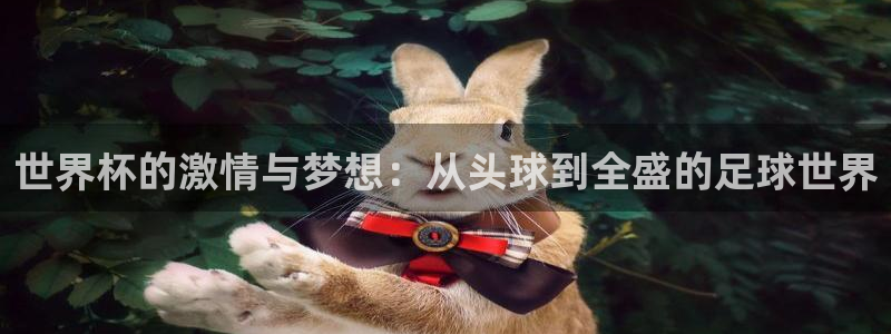 亚洲杯足球:世界杯的激情与梦想:从头球到全盛的足球世界