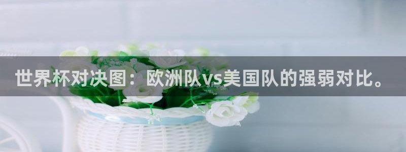 女足世界杯直播:世界杯对决图:欧洲队vs美国队的强弱对比。